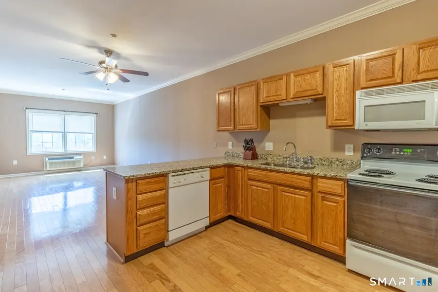 1 Brush Pasture Lane #205, Portland, CT 06480 - #2