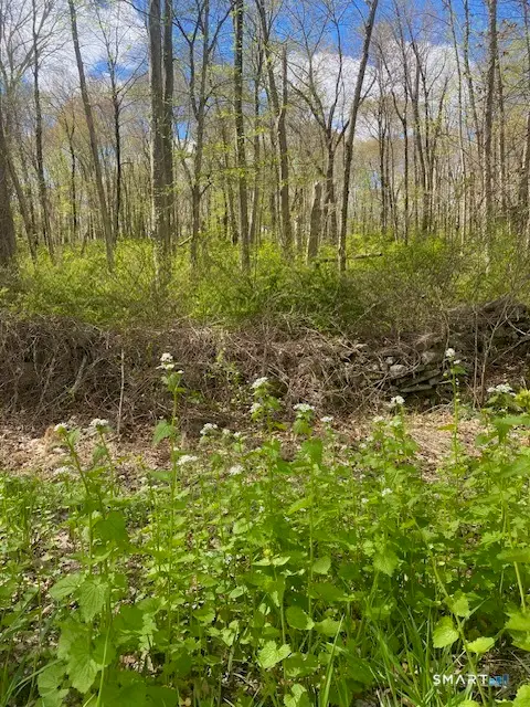 0 Clark Hill Road, East Haddam, CT 06423 - #1
