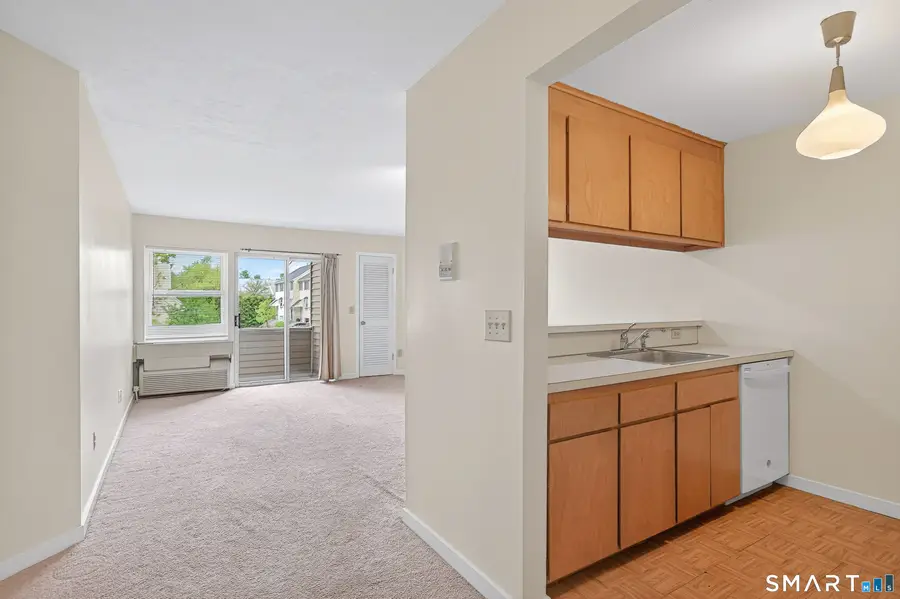 163 South Street #55, Danbury, CT 06810 - #2