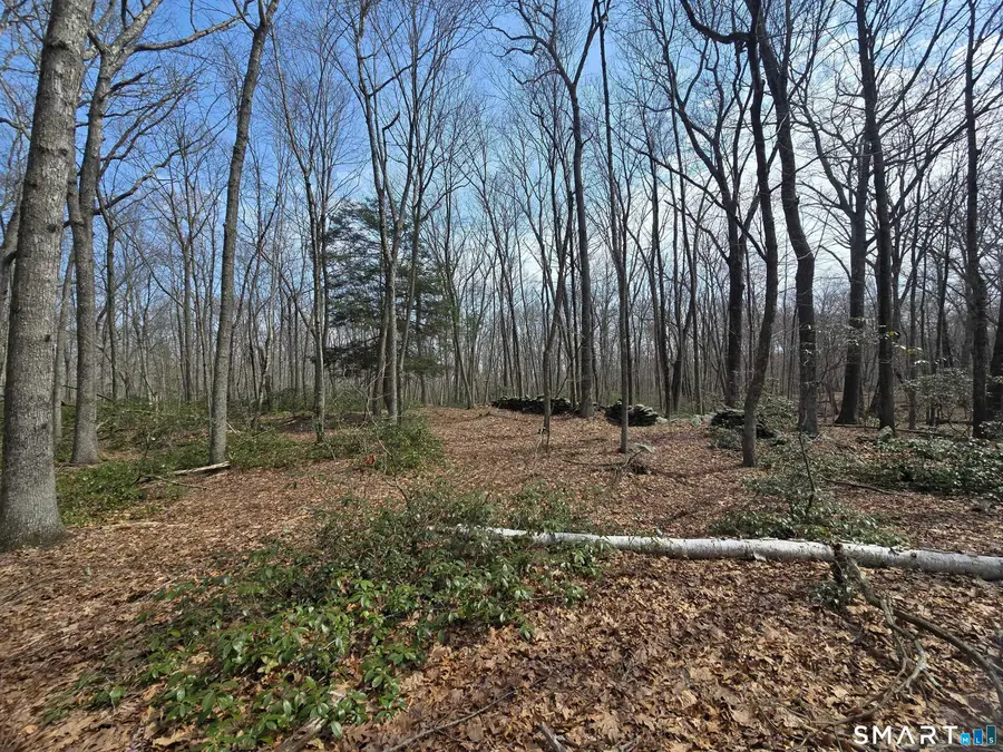 Pleasure Hill Road, Franklin, CT 06254 - #2
