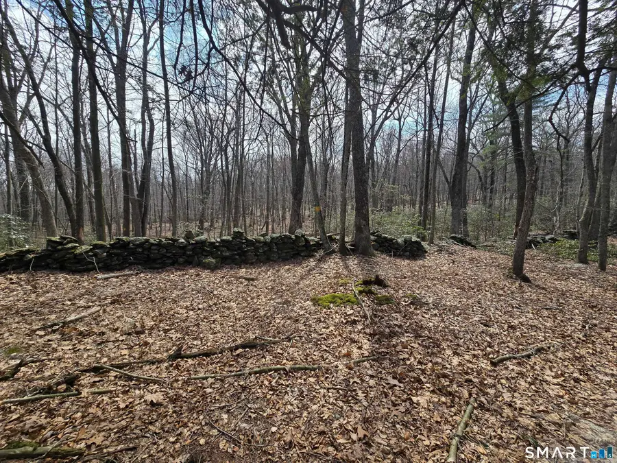 Pleasure Hill Road, Franklin, CT 06254 - #3