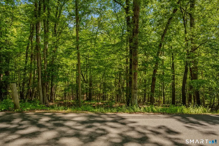 LOT10-B1 Foot Hills Road, Haddam, CT 06438 - #2