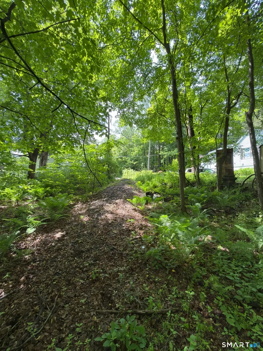 319 White Oak Trail, Winchester, CT 06098 - #2