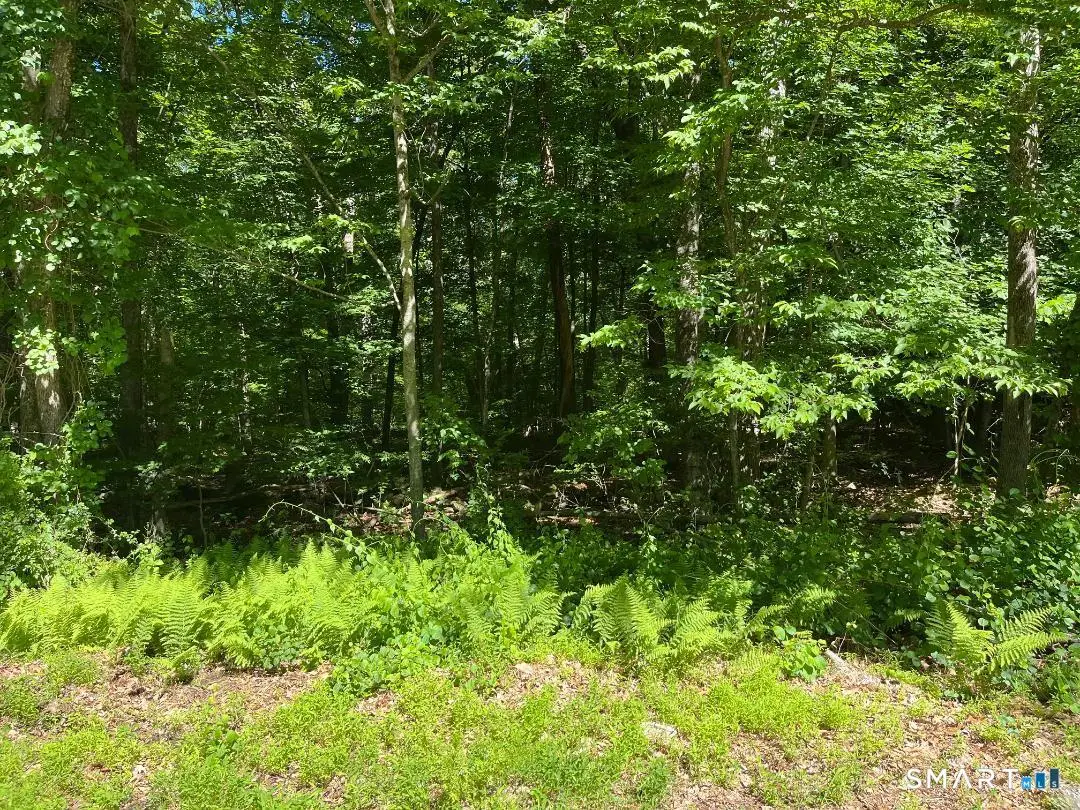 Middle Turnpike #LOT 24, Mansfield, CT 06250 - #1
