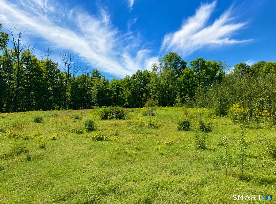 -00 Colebrook Road, Colebrook, CT 06021 - #2