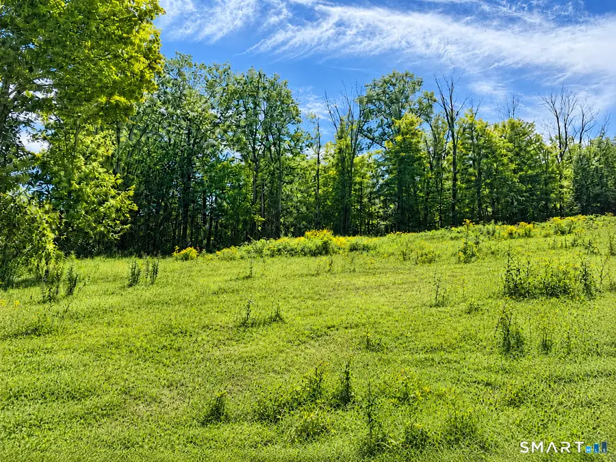 -00 Colebrook Road, Colebrook, CT 06021 - #3