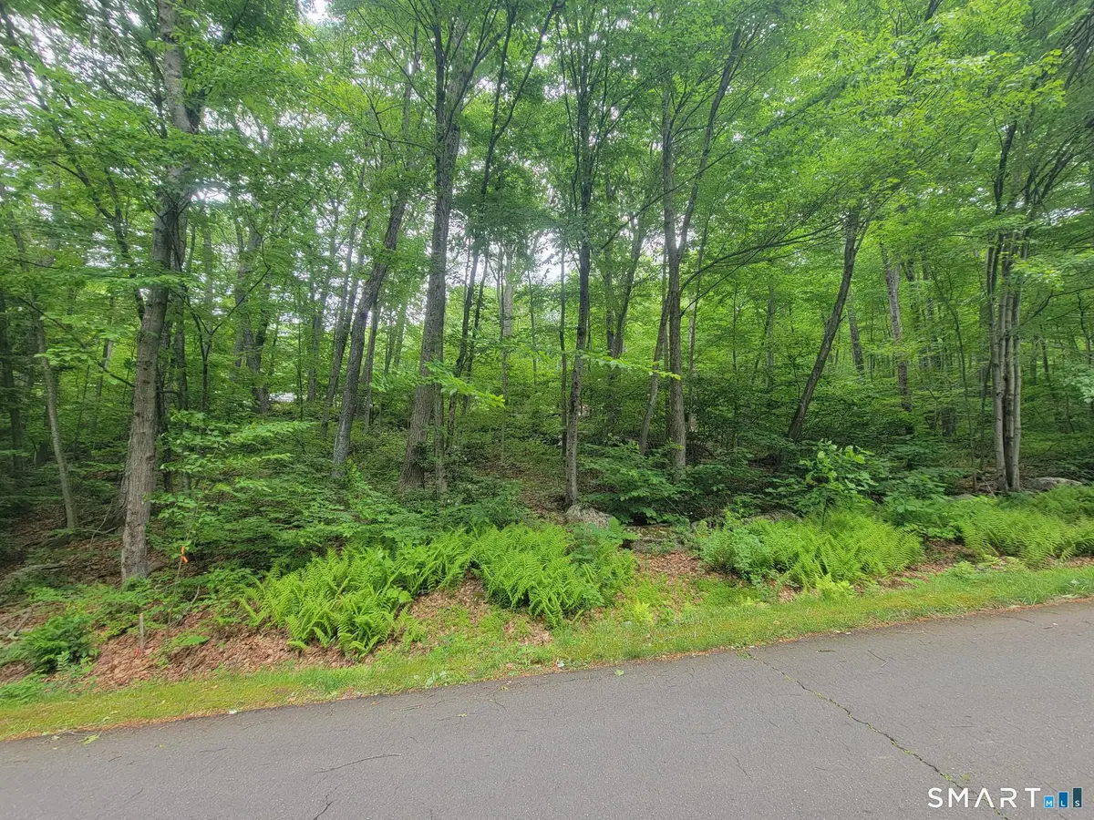 17 (Lot 2) Secret Mountain Trail, Canton, CT 06019 - #1