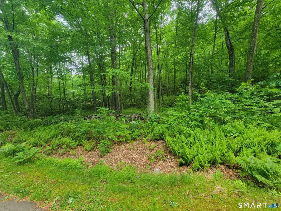 17 (Lot 2) Secret Mountain Trail, Canton, CT 06019 - #3