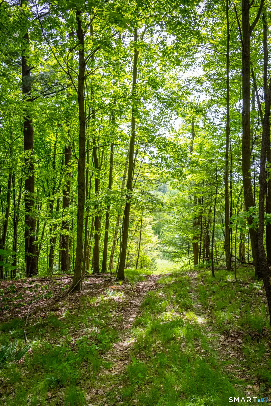 198-1 Beebe Hill Road, Canaan Town, CT 06031 - #3