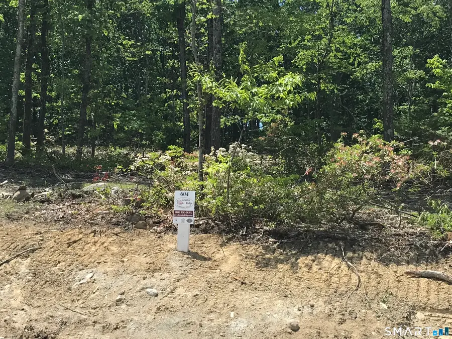 604 Cider Lane, North Granby, CT 06060 - #3