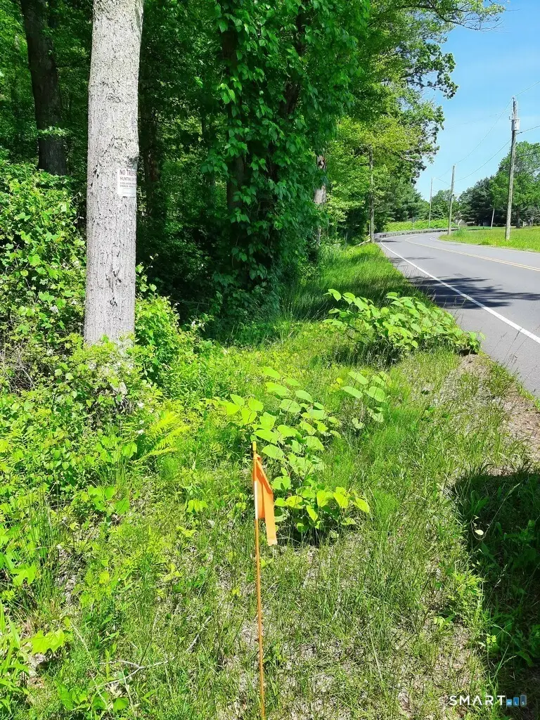 Mullen Road, Enfield, CT 06082 - #1