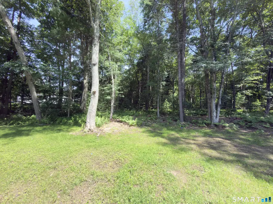 Collelo Avenue, Moosup, CT 06354 - #2
