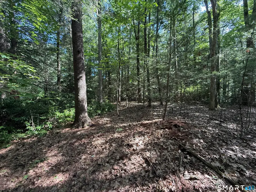 Tayler Trail, Woodstock, CT 06281 - #3