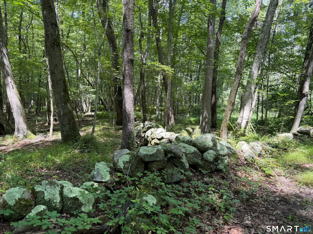 121 Walker Road, Canterbury, CT 06331 - #1