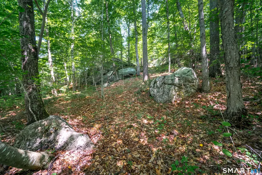 61 Silver Springs Drive, Higganum, CT 06441 - #2