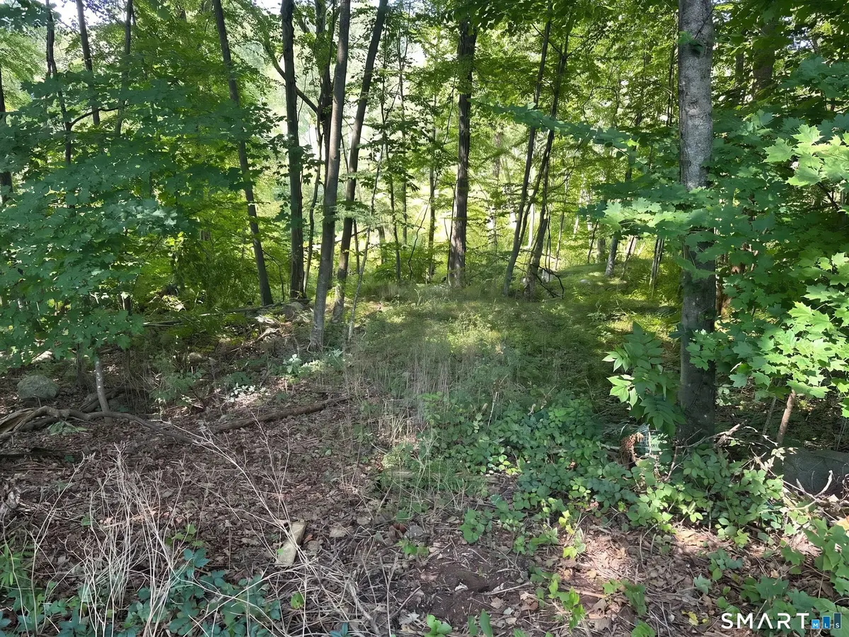56 Hubbell Mountain Road, Sherman, CT 06784 - #1