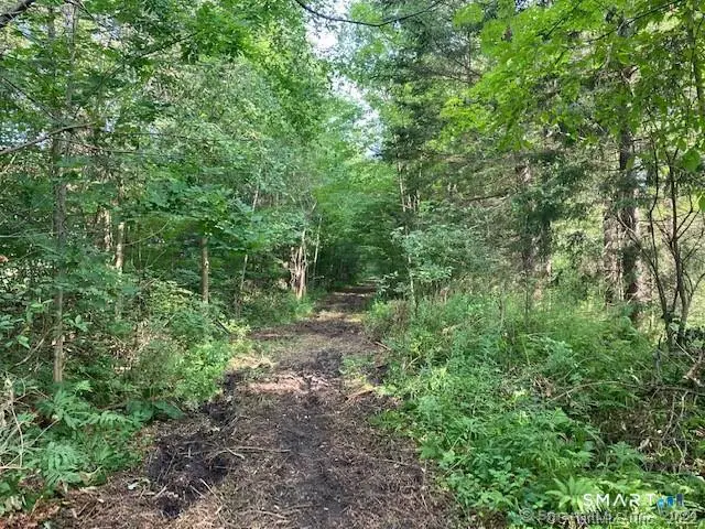 Sharon Turnpike, Goshen, CT 06756 - #2