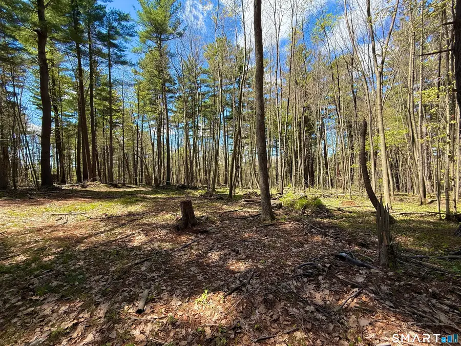 Clearview Avenue, Harwinton, CT 06791 - #2