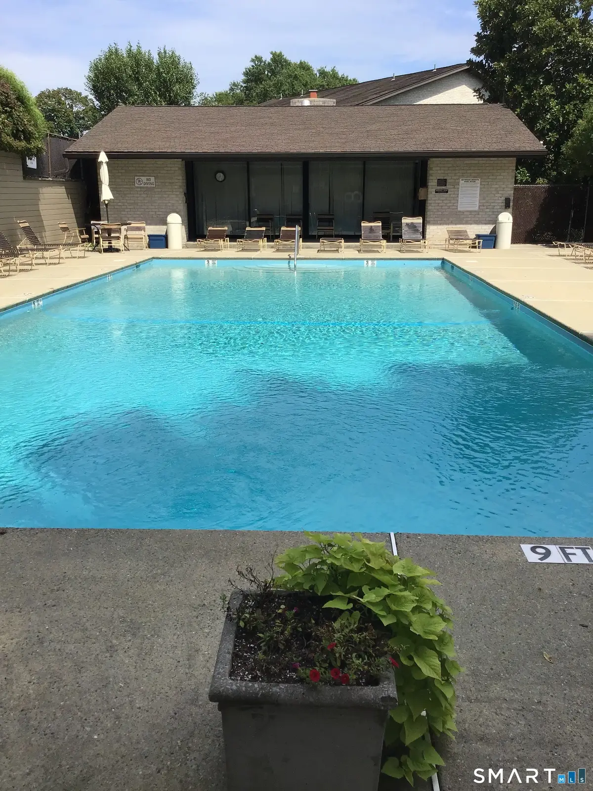 247 Hamilton Avenue #7, Stamford, CT 06902 - #1