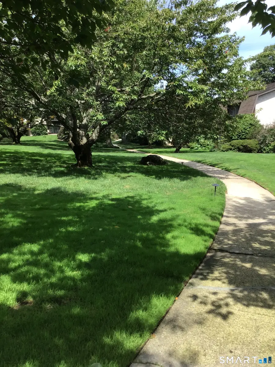 247 Hamilton Avenue #7, Stamford, CT 06902 - #3