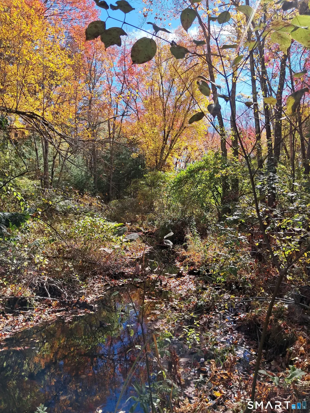 Crystal Lake Road, Ellington, CT 06029 - #1