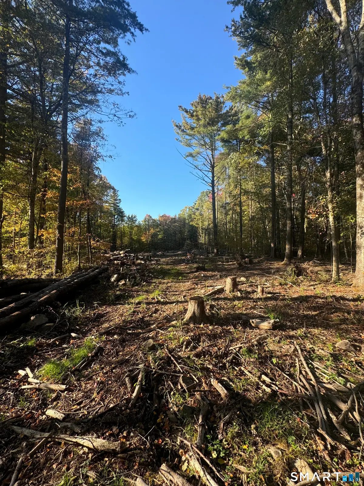 Lot 9 Red Fox Run, Canton, CT 06019 - #1