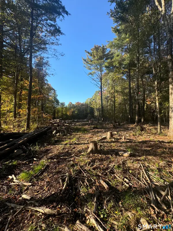 Lot 9 Red Fox Run, Canton, CT 06019