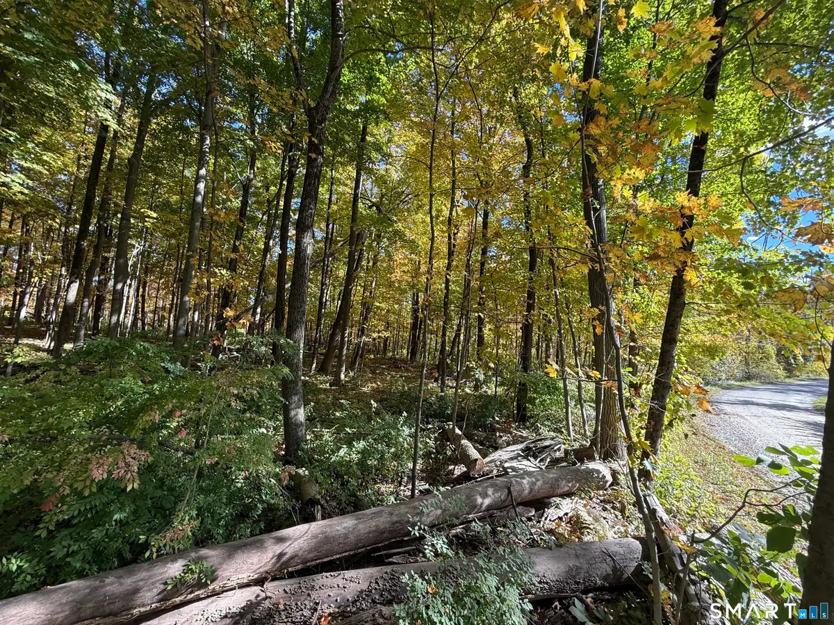 Joray Road, Sharon, CT 06069 - #1