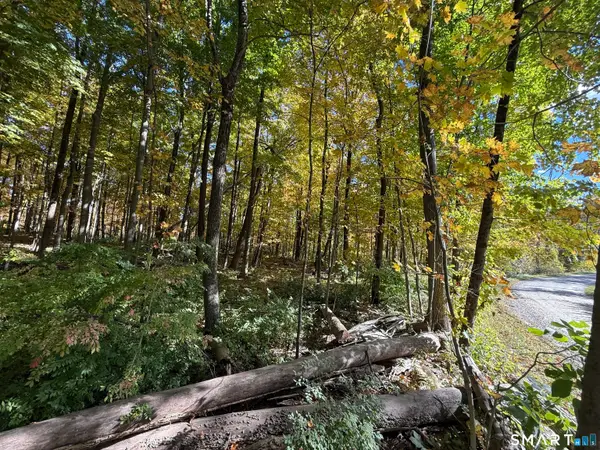 Joray Road, Sharon, CT 06069