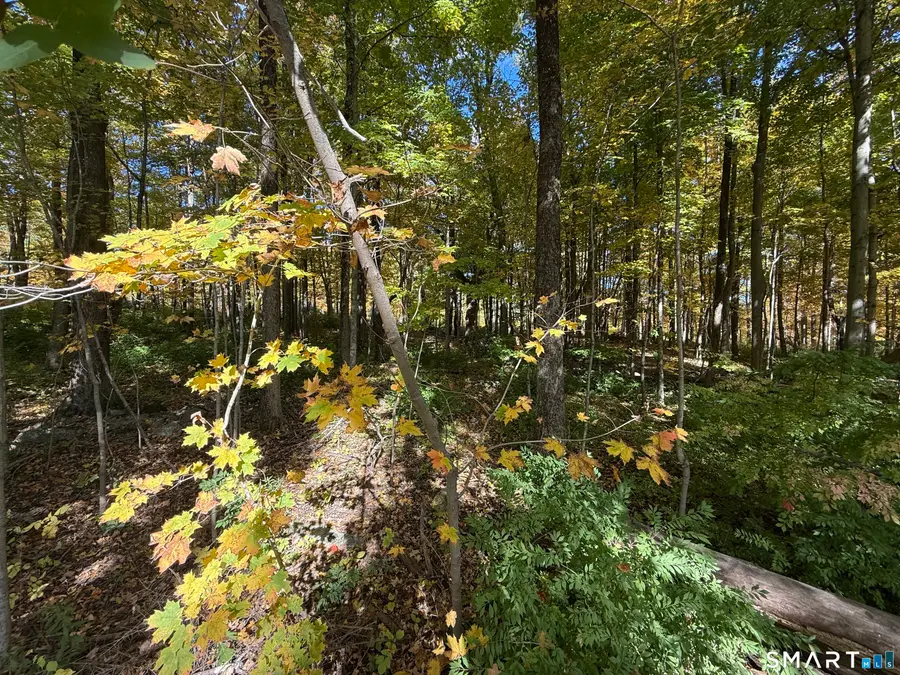 Joray Road, Sharon, CT 06069 - #2