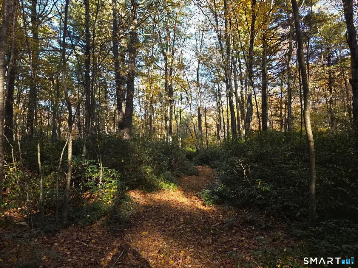 50 Burlingame Road, Killingly, CT 06239 - #1