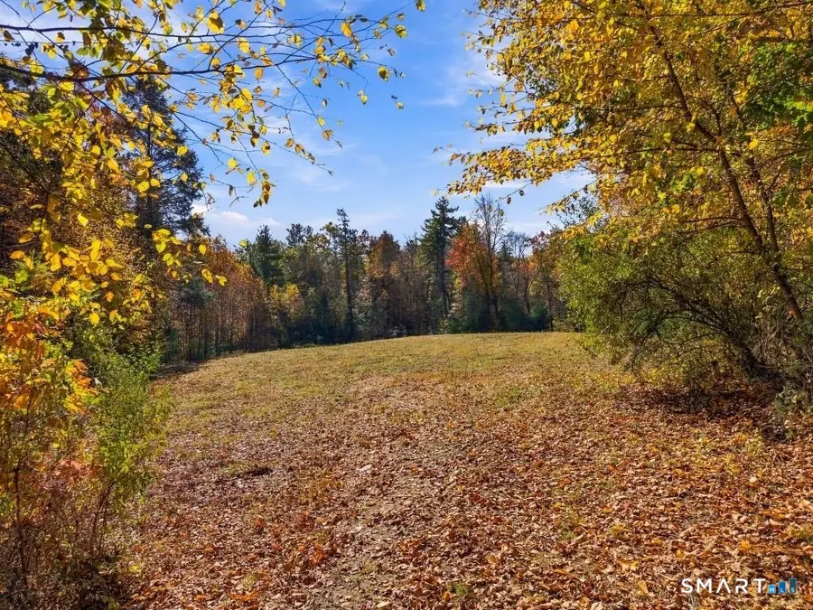61 Barn Door Hills Road, Granby, CT 06035 - #2