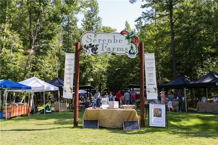 280 Tabb Way, Chattahoochee Hills, GA 30268 - #2