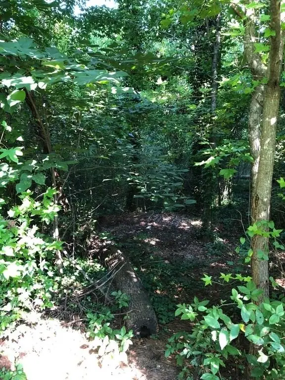 0 Ohara Drive, Woodstock, GA 30188 - #2