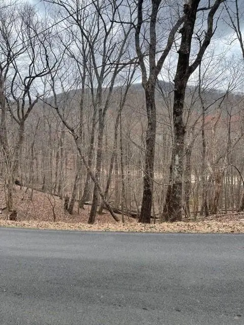 LT3150 Crippled Oak Trail, Jasper, GA 30143 - Image #2