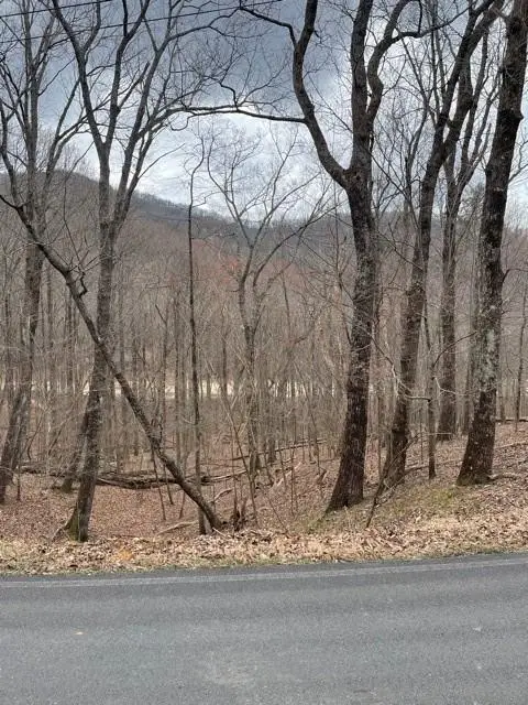 LT3150 Crippled Oak Trail, Jasper, GA 30143 - Image #3