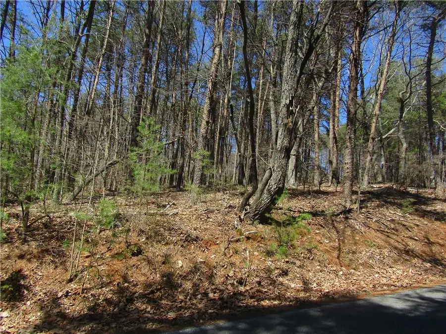 14 Yanegwa Path, Big Canoe, GA 30534 - #2