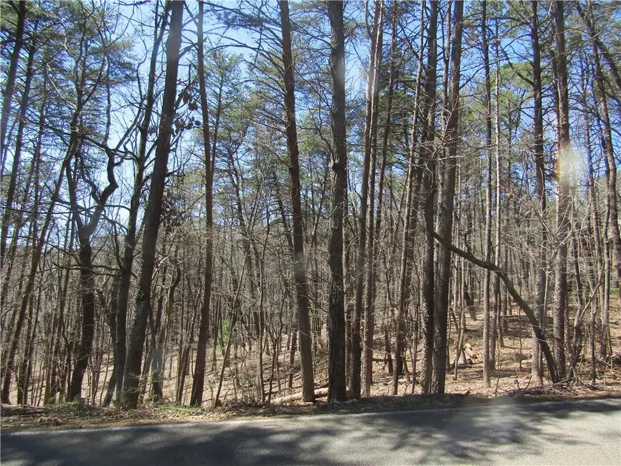 14 Yanegwa Path, Big Canoe, GA 30534 - #3