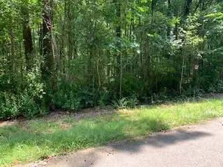 0 Willow Creek Road, Fairburn, GA 30213 - Image #3