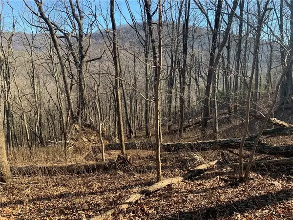 2933 Locust Trail, Jasper, GA 30143