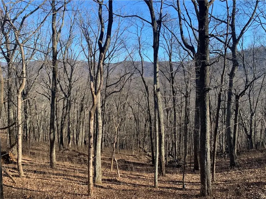 2933 Locust Trail, Jasper, GA 30143 - #2