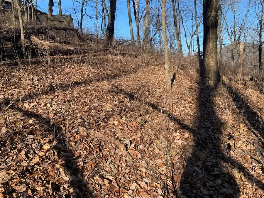 2933 Locust Trail, Jasper, GA 30143 - #3