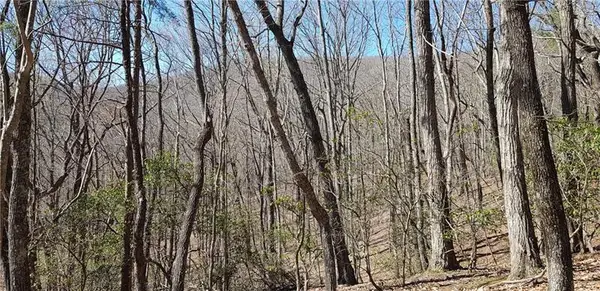 170 Wake Robin Drive, Big Canoe, GA 30143