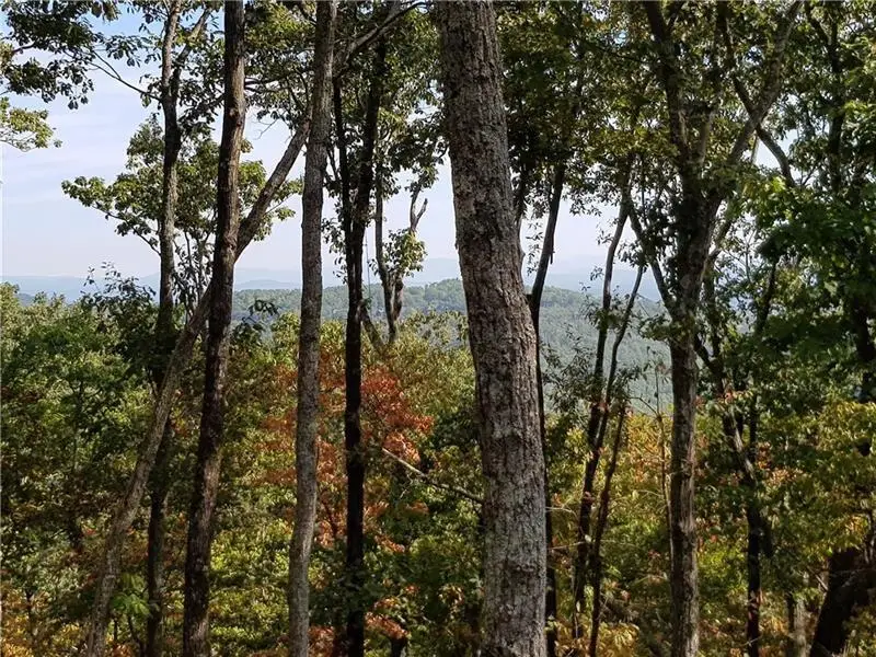 8242 Cox Mountain Drive, Big Canoe, GA 30143 - Image #1