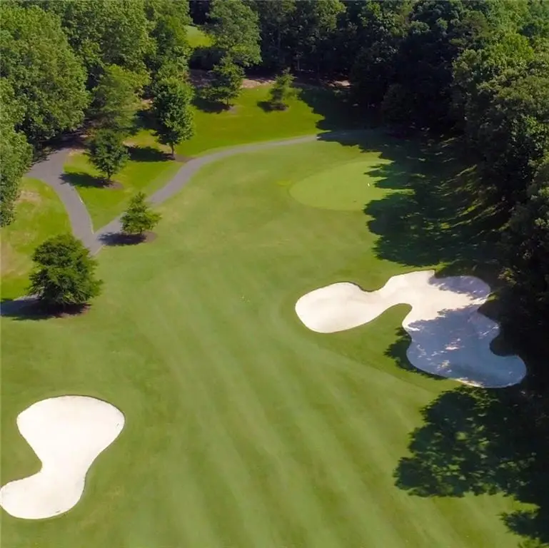 8271 Cox Mountain Lane, Big Canoe, GA 30143 - #3