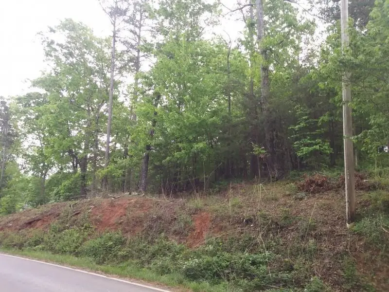 7449 Dogwood Trail, Murrayville, GA 30564 - Image #3