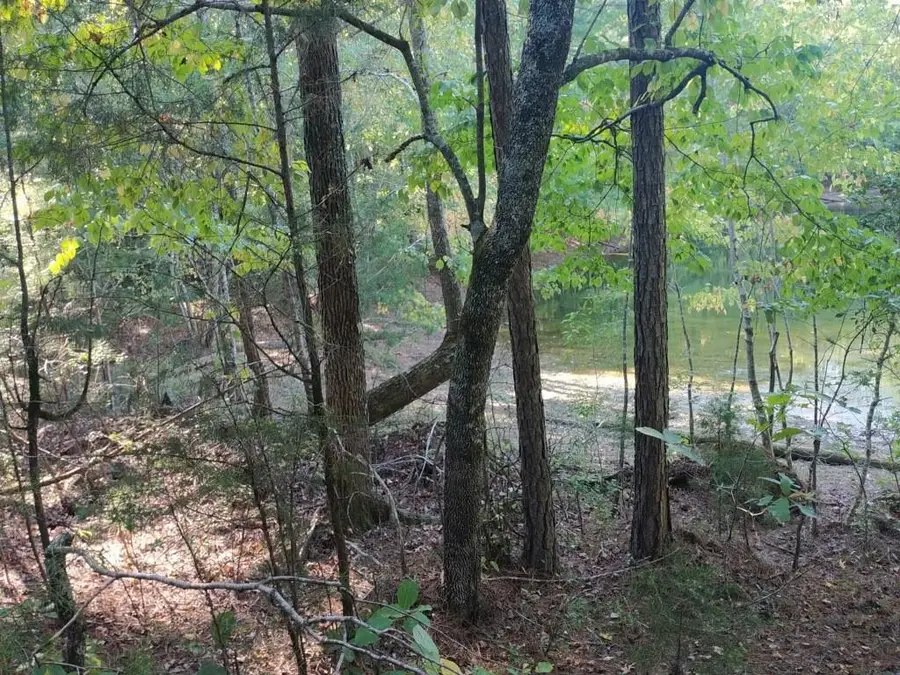 00 Smokey Road, Lagrange, GA 30241 - Image #3