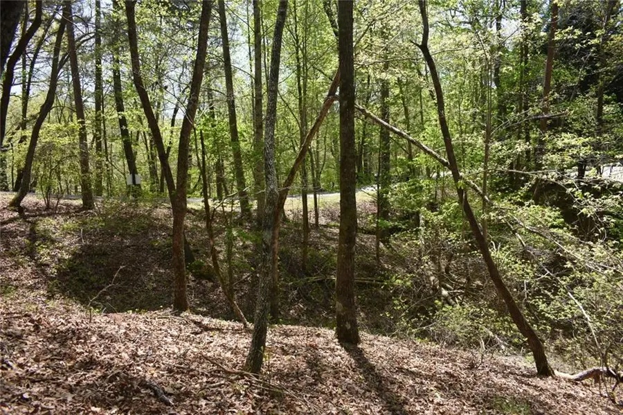 62 Miners Place, Dahlonega, GA 30533 - Image #2