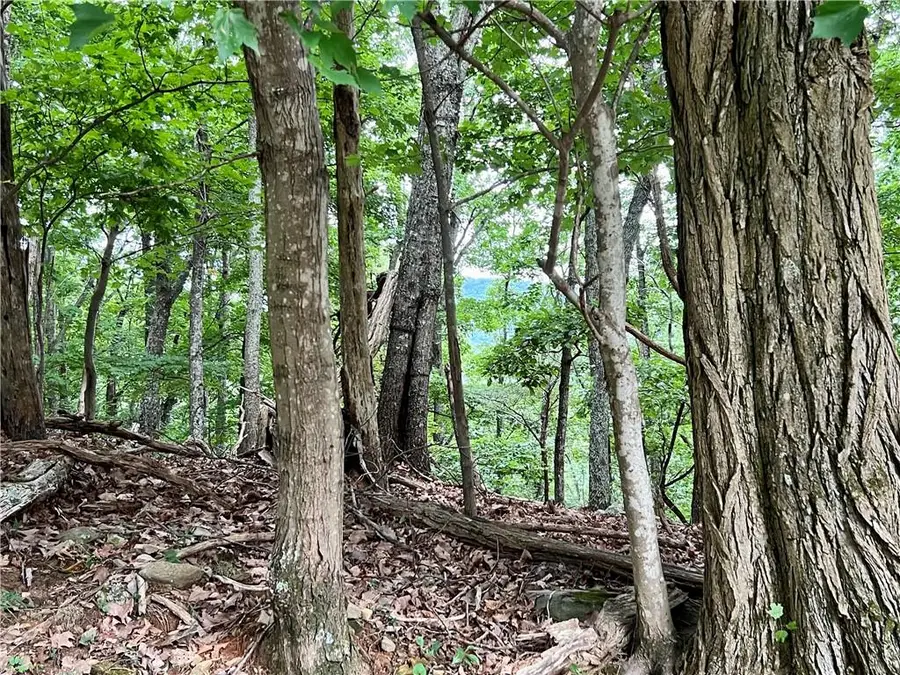 3395 Bella Vista Trail, Jasper, GA 30143 - #3