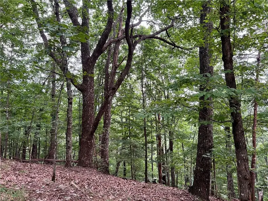 3394 Bella Vista Trail, Jasper, GA 30143 - #2